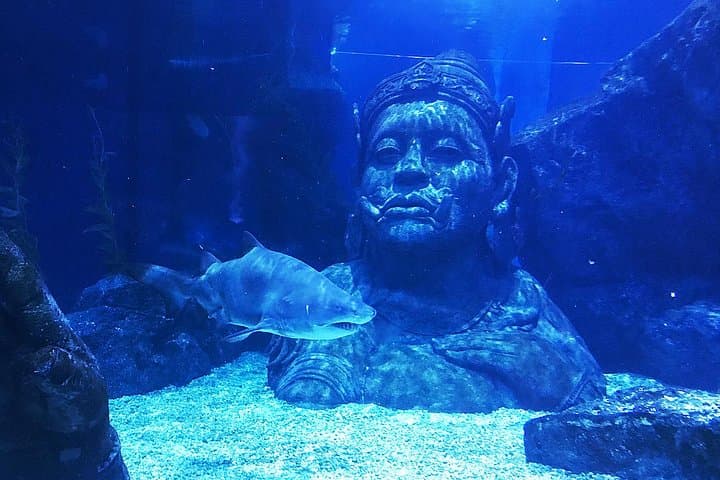 Sea Life Bangkok Ocean World Tickets — Aquarium & Madame Tussauds at Siam Paragon photo 5