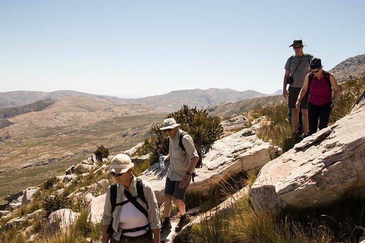 Half-Day Swartberg Pass Private Tour from Oudtshoorn — Summit Hike & Fynbos photo 3
