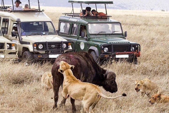21-Day Kenya & Tanzania: Machame Kilimanjaro, Masai Mara Safari & Diani Beach Escape photo 3