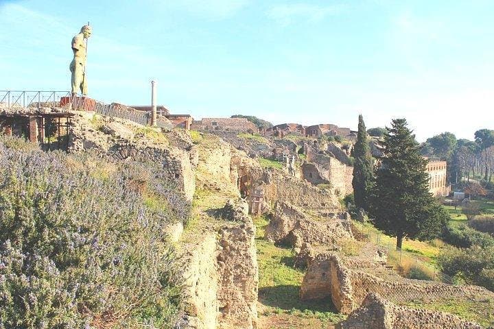 Pompeii and Herculaneum Private Tour: Skip-the-Line Guided Experience photo 3