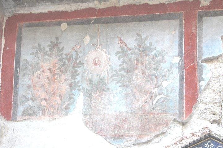 Pompeii and Herculaneum Private Tour: Skip-the-Line Guided Experience photo 5