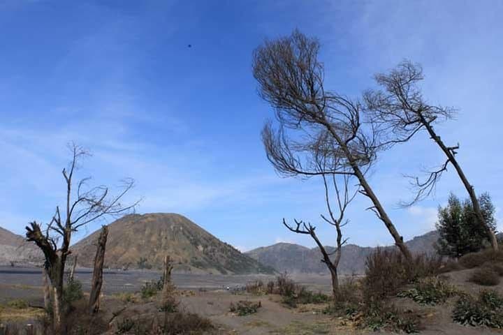 Bromo Panorama: Skip the Crowds on a Day Tour from Malang