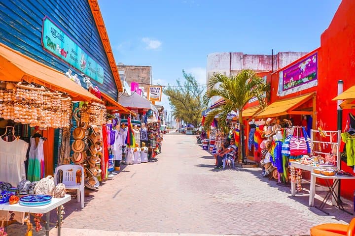Isla Contoy & Ixlaché Reef Day Trip from Playa del Carmen — Snorkel, Birdwatch & Isla Mujeres photo 5