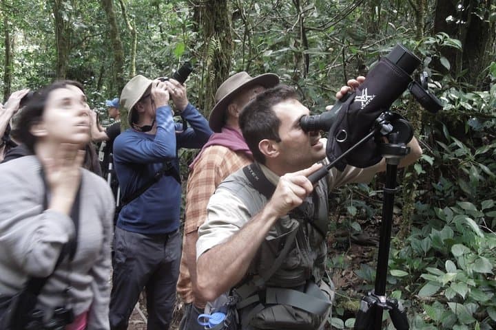 Private Monteverde Natural History Walk: Guided Cloud Forest Experience photo 6