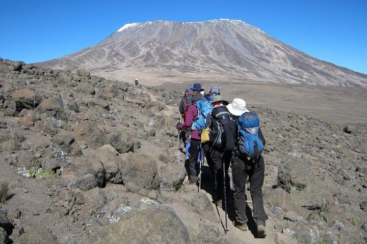 Conquering Kilimanjaro's Northern Face: The 6-Day Rongai Route Adventure