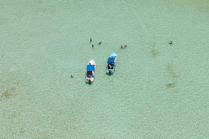 Full-Day Sian Ka'an Biosphere Boat Tour from Tulum — Snorkel, Dolphins & Beach Lunch photo 3