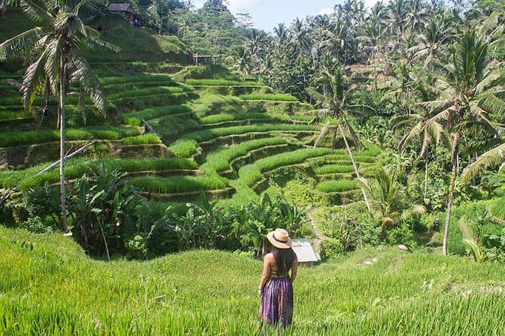 Bali Instagram Tour: Most Scenic Spots photo 4