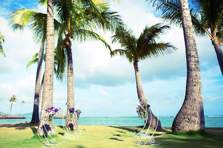 Aloha Beach Wedding in Waikiki: Intimate Ceremony and Photo Session photo 2