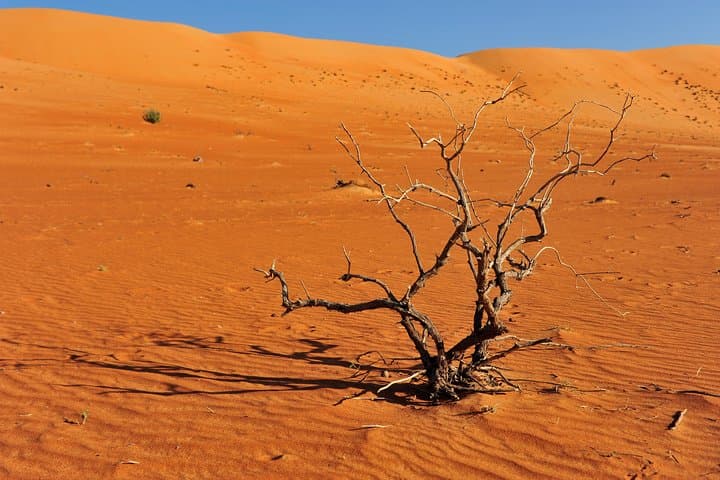 7-Day Oman Camping Adventure: Jabal Shams, Wahiba Sands, and the Turtle Coast