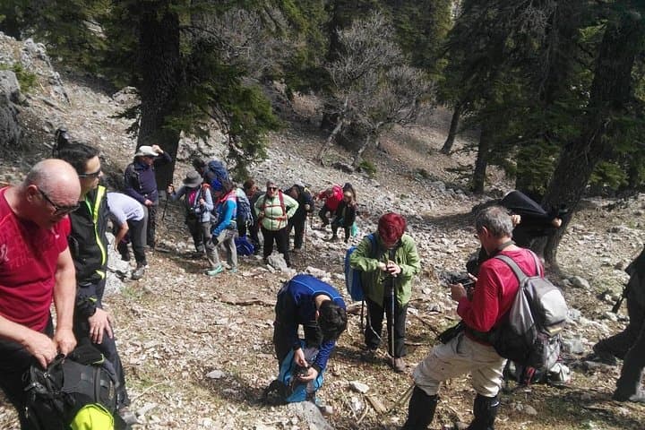 Full-Day Jbel Lakraa Summit Hike in Talassemtane National Park photo 6