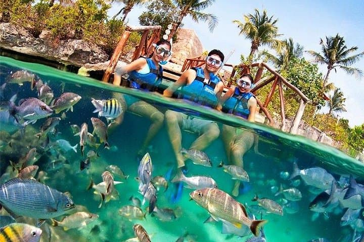 Xel-Ha Day Pass: Snorkel, Cenotes & Lighthouse Views in the Riviera Maya photo 5