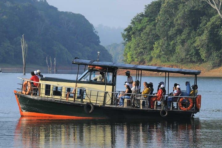 6-Day Kerala Private Tour: Periyar Wildlife & Western Ghats Highlights photo 3