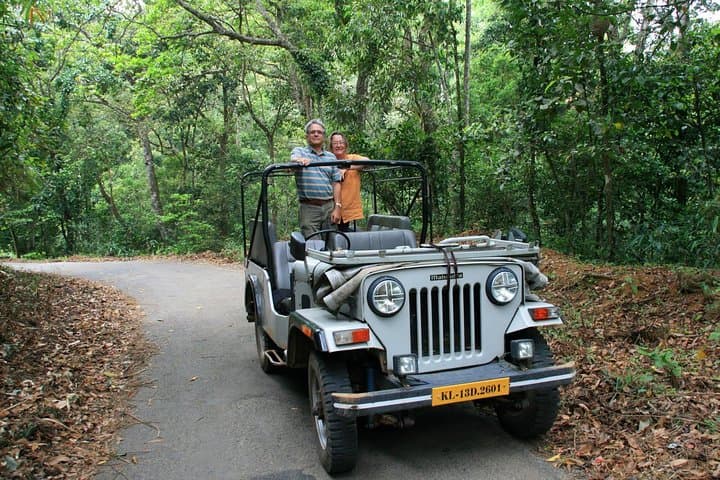 6-Day Kerala Private Tour: Periyar Wildlife & Western Ghats Highlights photo 4