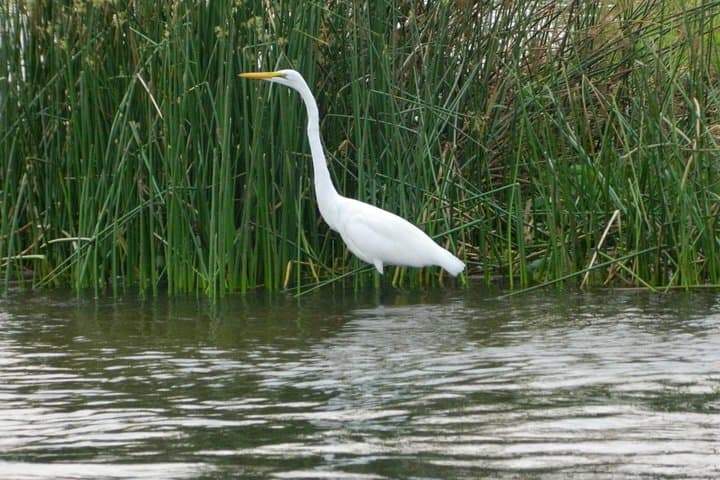 Day Trip to Lake Mburo: Wildlife & Boat Safari from Kampala photo 2