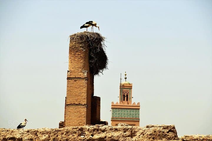 Full-Day Guided Tour of Marrakech: Gardens, Palaces & Old Medina Markets photo 6
