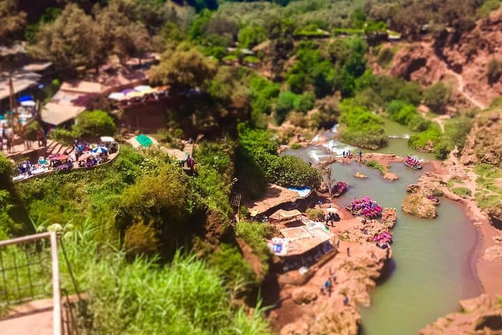 Day Trip to Ouzoud Waterfalls from Marrakech — Olive Groves, Monkeys & Swimming photo 4