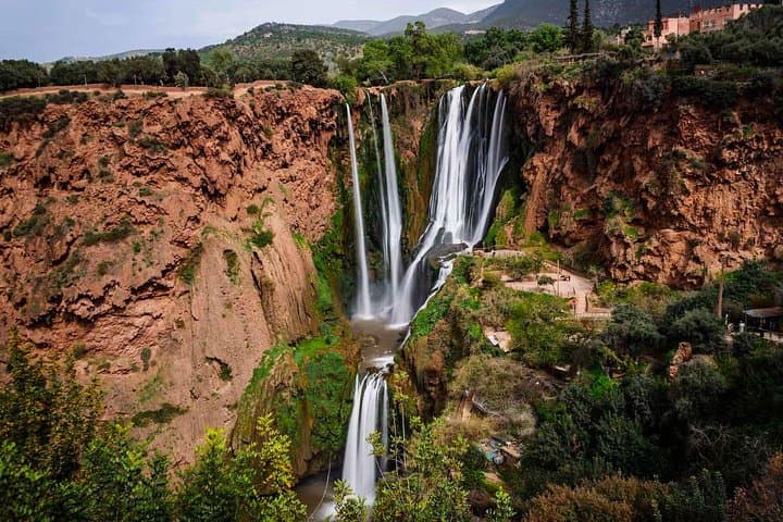 Day Trip to Ouzoud Waterfalls from Marrakech — Olive Groves, Monkeys & Swimming photo 5