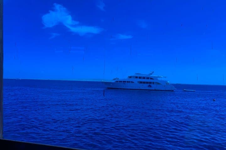 Glass-Bottom Boat Tour from Hurghada: See the Red Sea Reefs Without Getting Wet photo 4