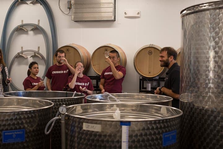 Meet the Winemakers: Seven Birches Winery Tour at RiverWalk Resort, Loon Mountain photo 4