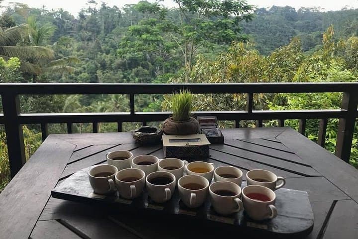 Mt. Batur Sunrise Trek with Natural Hot Springs and Coffee Tasting photo 4