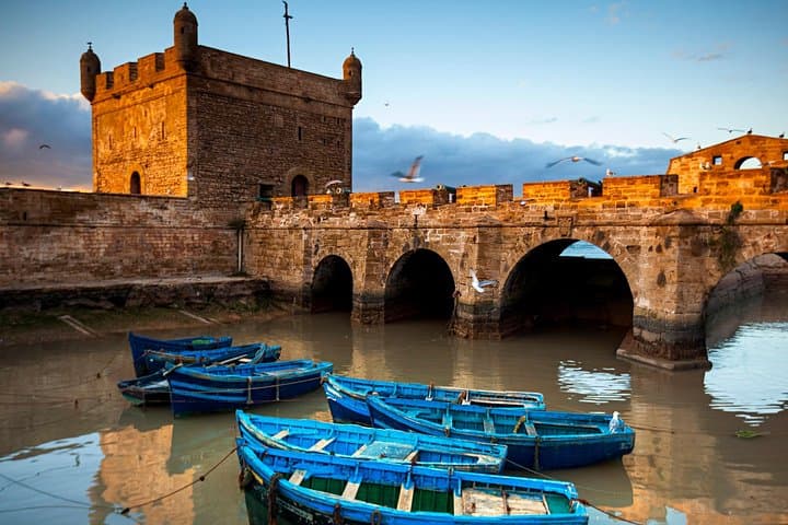 Essaouira Day Trip from Marrakech — Argan Forests, Goat Trees & Atlantic Seafood photo 3