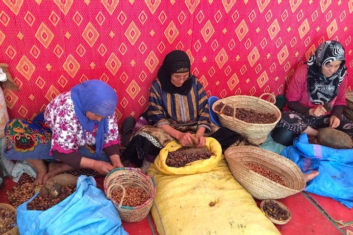 Essaouira Day Trip from Marrakech — Argan Forests, Goat Trees & Atlantic Seafood photo 4