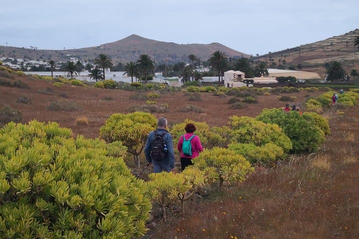 Northern Cliffs & Valleys Hiking Tour in Lanzarote — Haria, La Graciosa Views photo 6
