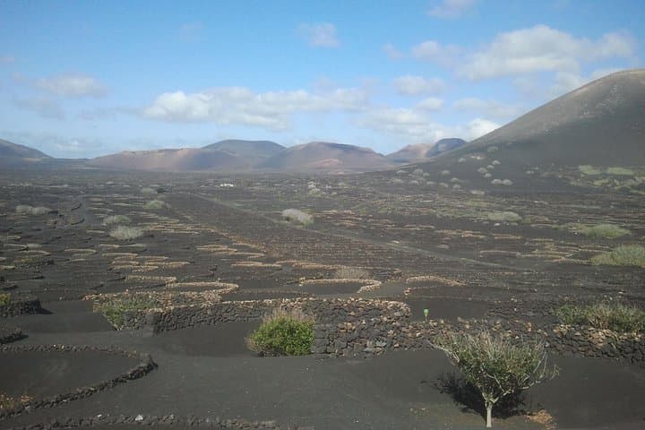 Hiking La Geria Vineyards: Lanzarote Volcanic Wine Walking Tour photo 3