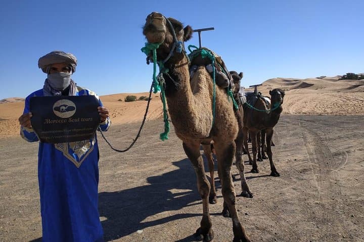 Marrakech to Zagora 2-Day Desert Tour — Camel Trek & Berber Camp photo 3