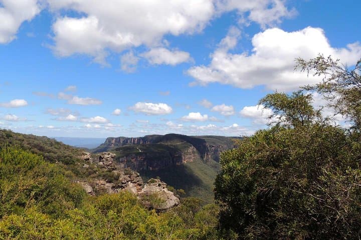 Blue Mountains Insider Tour from Sydney: Jamison Valley Walks & Featherdale Wildlife photo 4