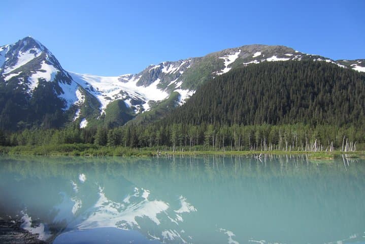 Explore Alaska’s Turnagain Arm: Wildlife, Glaciers, and Scenic Seward Highway Adventure