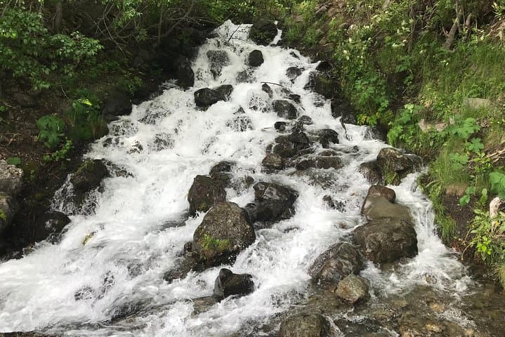 Explore Alaska’s Turnagain Arm: Wildlife, Glaciers, and Scenic Seward Highway Adventure photo 4