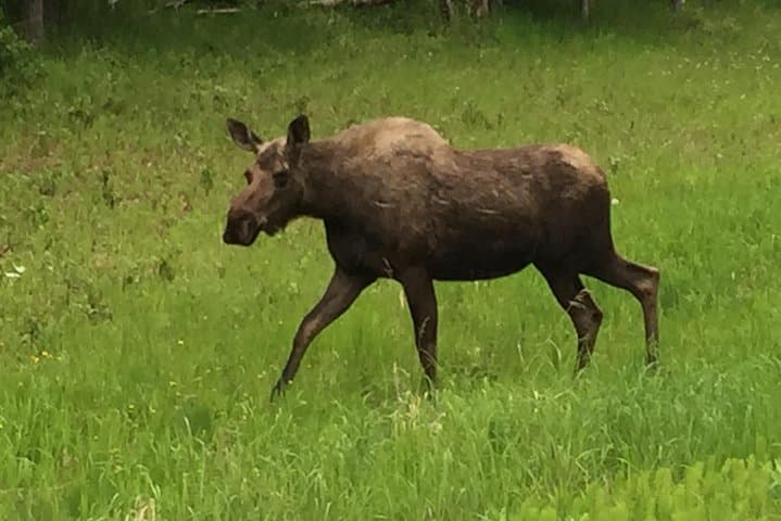 Anchorage City Tour: Exploring Alaska’s Wild Flavors and Scenic Highlights photo 6