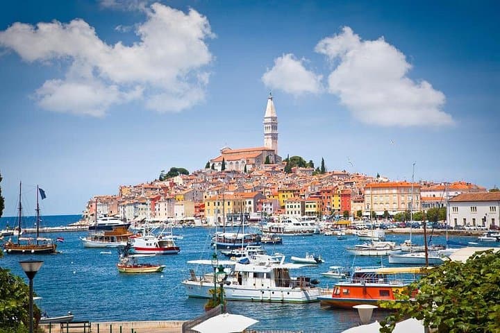 Istria Day Tour from Bled: Rovinj, Olive Oil & Pula Arena photo 4
