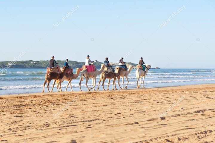 Essaouira Day Trip from Marrakech: Beaches, Medina & Argan Co-op photo 3