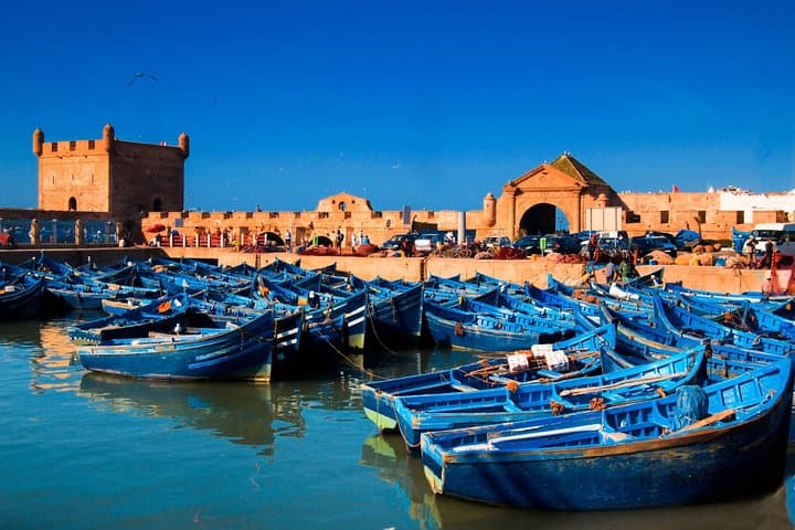 Day Trip from Marrakech to Essaouira — Mogador Coastal Walk, Argan Goats & Medina Tour photo 3