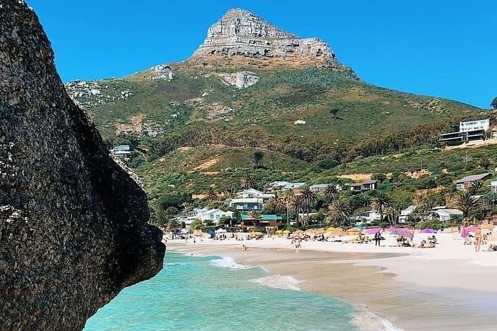 Cape Peninsula Private Full-Day Tour from Cape Town: Chapman's Peak, Cape Point & Boulders Beach photo 4