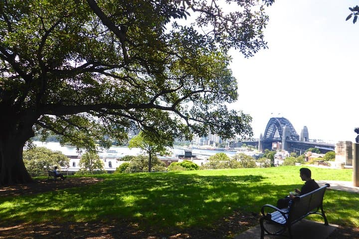 Half-Day Iconic Sydney Private Tour — Opera House, Harbour Bridge & Bondi photo 3