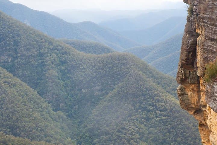 Blue Mountains private wildlife safari overnight from Sydney photo 5