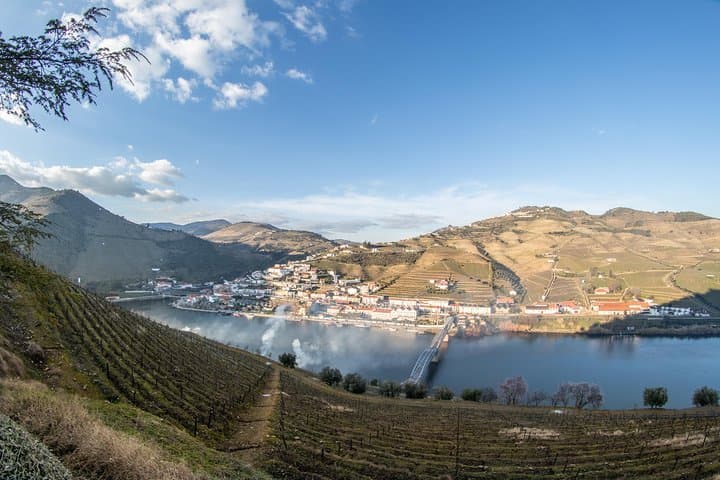 Douro Valley Sommelier Wine Tour with Rabelo Boat Cruise photo 6