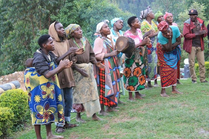 3-Day Bwindi Gorilla Safari: Close Encounters with Mountain Gorillas in Uganda photo 4