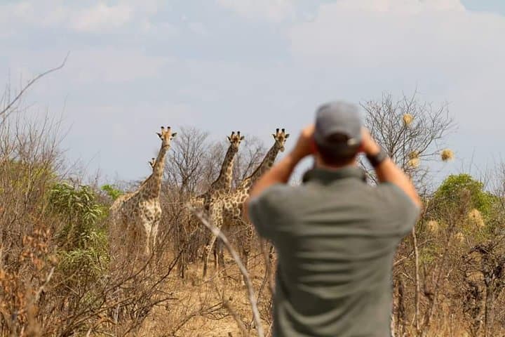 Chobe Private Game Drive and River Cruise from Kasane photo 2