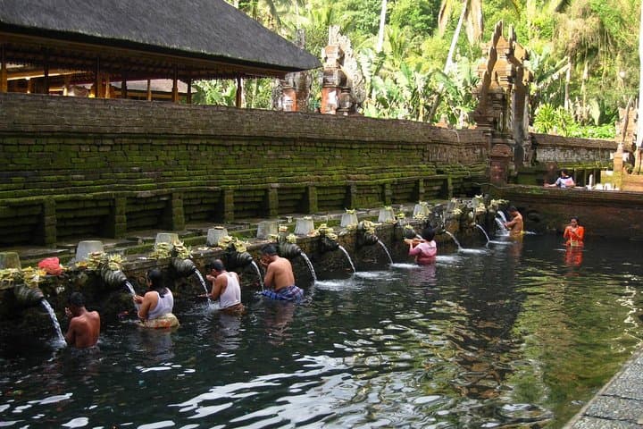 Half-Day Ubud Tour: Tegenungan Waterfall, Tirta Empul & Tegallalang Rice Terraces