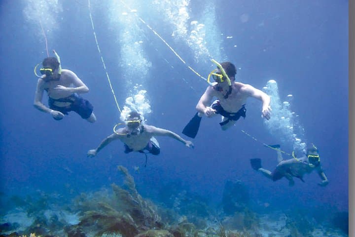 Punta Cana Party Cruise: Snorkel, Hooka Dive & Parasail from a Catamaran photo 5
