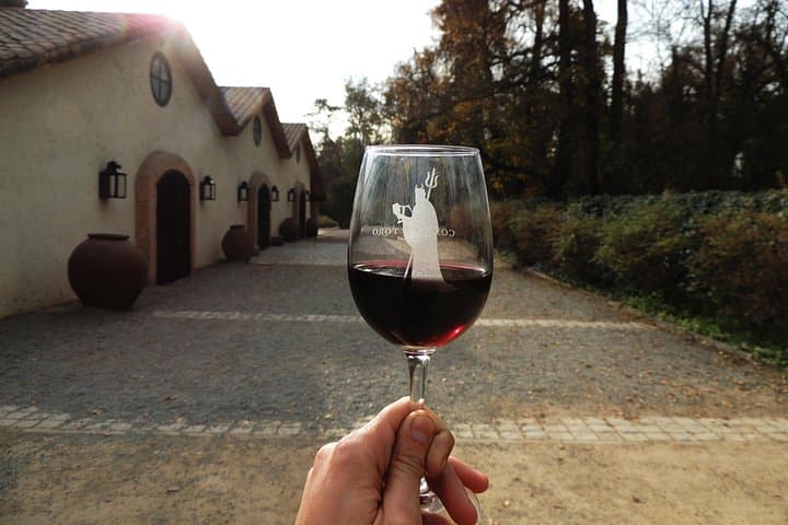 Half-Day Concha y Toro Winery Tour from Santiago — Maipo Alto Tasting & Gardens photo 4