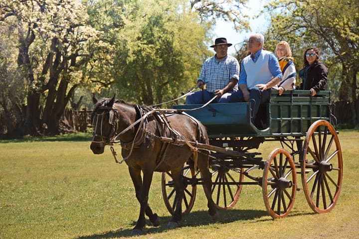 Private Day at an Argentinian Estancia: Gaucho Culture, Asado & Pampas Rides photo 4