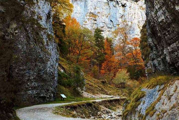 Curmătura Chalet & Zărnești Canyon e‑Bike Tour — Piatra Craiului Day Ride from Brașov