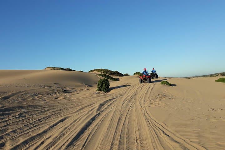 Essaouira Quad Adventure: Dunes, Beaches & Forest Ride with Transfer photo 5