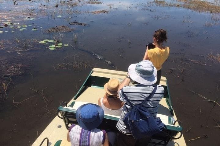 private-1-hour-airboat-tour-miami-everglades-what-to-expect