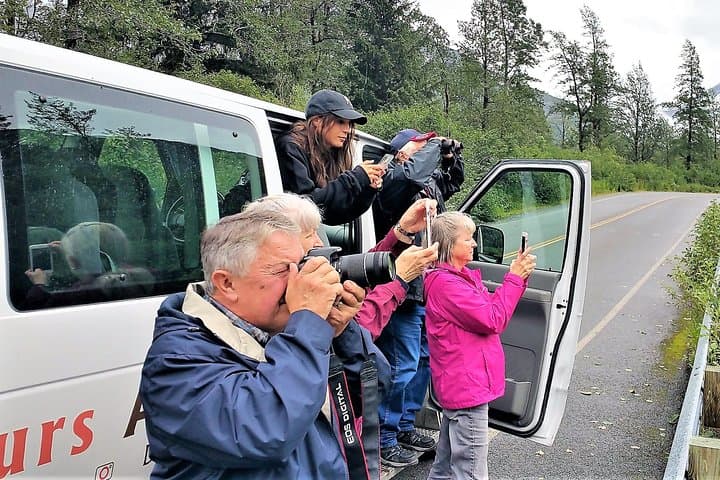 Anchorage Wilderness & Portage Glacier Day Tour: Turnagain Arm Wildlife and AWCC photo 4